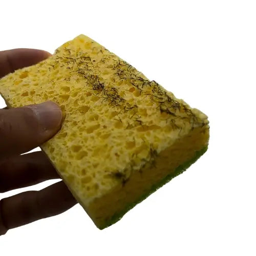 <h2>LES AVANTAGES DE BEARD SPONGE :</h2>