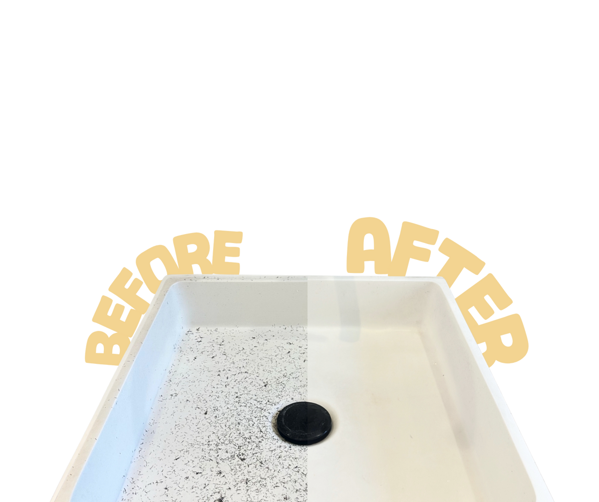 Before / After
